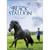 Adventures Of The Black Stallion Season 1 Vol. 1 Nr 2 DVD 