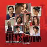 Grey's Anatomy Vol. 2 Television Soundtrack 