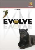 Evolve Evolve Nr 4 DVD 