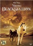 Young Black Stallion Young Black Stallion Ws Nr 