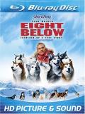 Eight Below Eight Below Blu Ray Ws Pg13 