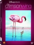 Disneynature Crimson Wing Mystery Of The Flamingo DVD G 