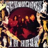 Fuzztones In Heat 