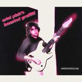 Ariel Pink Underground 2 Lp 