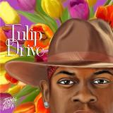 Jimmie Allen Tulip Drive 