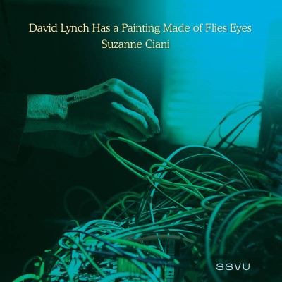 Ssvu (silversun Pickups) David Lynch Has A Painting Made Of Flies Eyes Suzanne Ciani Rsd Black Friday Exclusive 